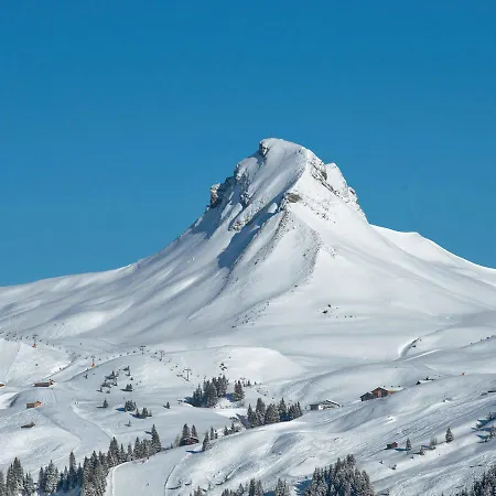 Konukevi Garni Enzian Damuels