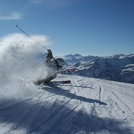 Garni Enzian Konukevi Damuels