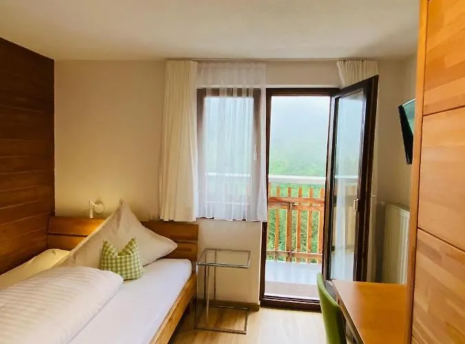 Garni Enzian 3* Damüls