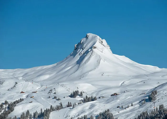 Gasthof Garni Enzian Damüls
